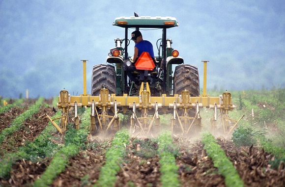 farming-in-sa