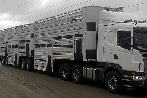 Livestock Trailers For Sale On Truck & Trailer